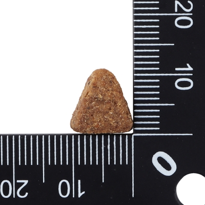 닥터클라우더 베스트 초이스 어덜트 생선&쌀 4kg