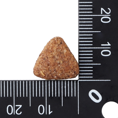 닥터클라우더 베스트 초이스 어덜트 연어&쌀 12.5kg