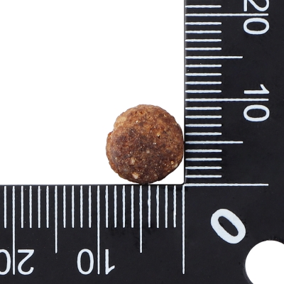 닥터클라우더 베스트 초이스 주니어 미디엄 350g