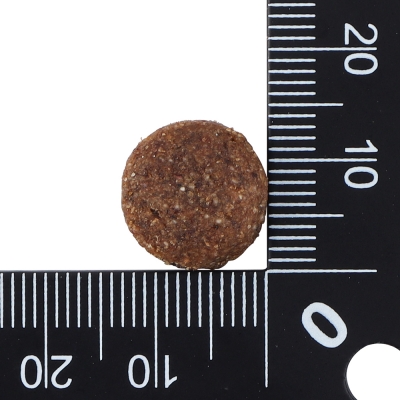 닥터클라우더 베스트 초이스 어덜트 미디엄 1.4kg