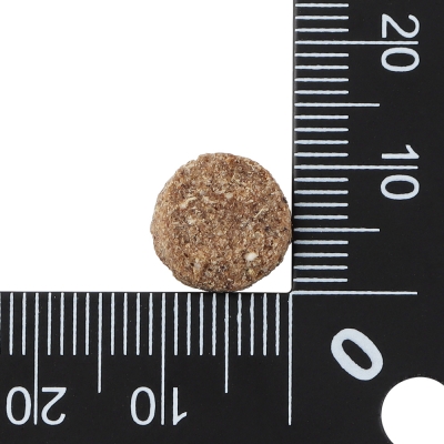 닥터클라우더 베스트 초이스 시니어 라이트 1.4kg